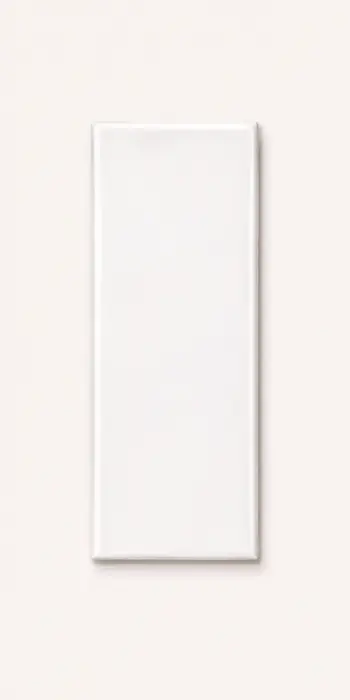 Liso Blanco Puro 5×15
